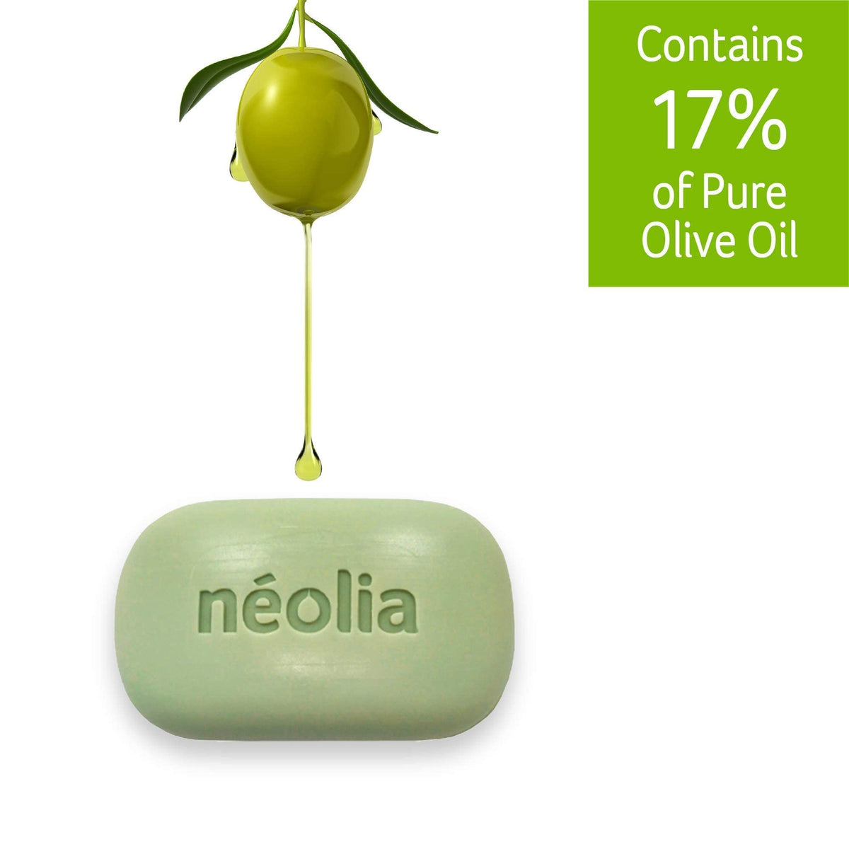 Natural ingredients layout featuring Italian extra virgin olive oil and aloe for Néolia soap.