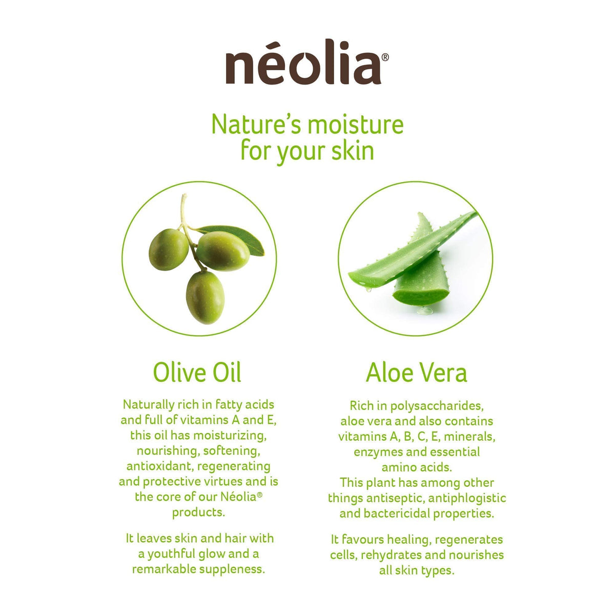 Aloe leaf beside Néolia soap bar emphasizing aloe and olive oil based hydration.
