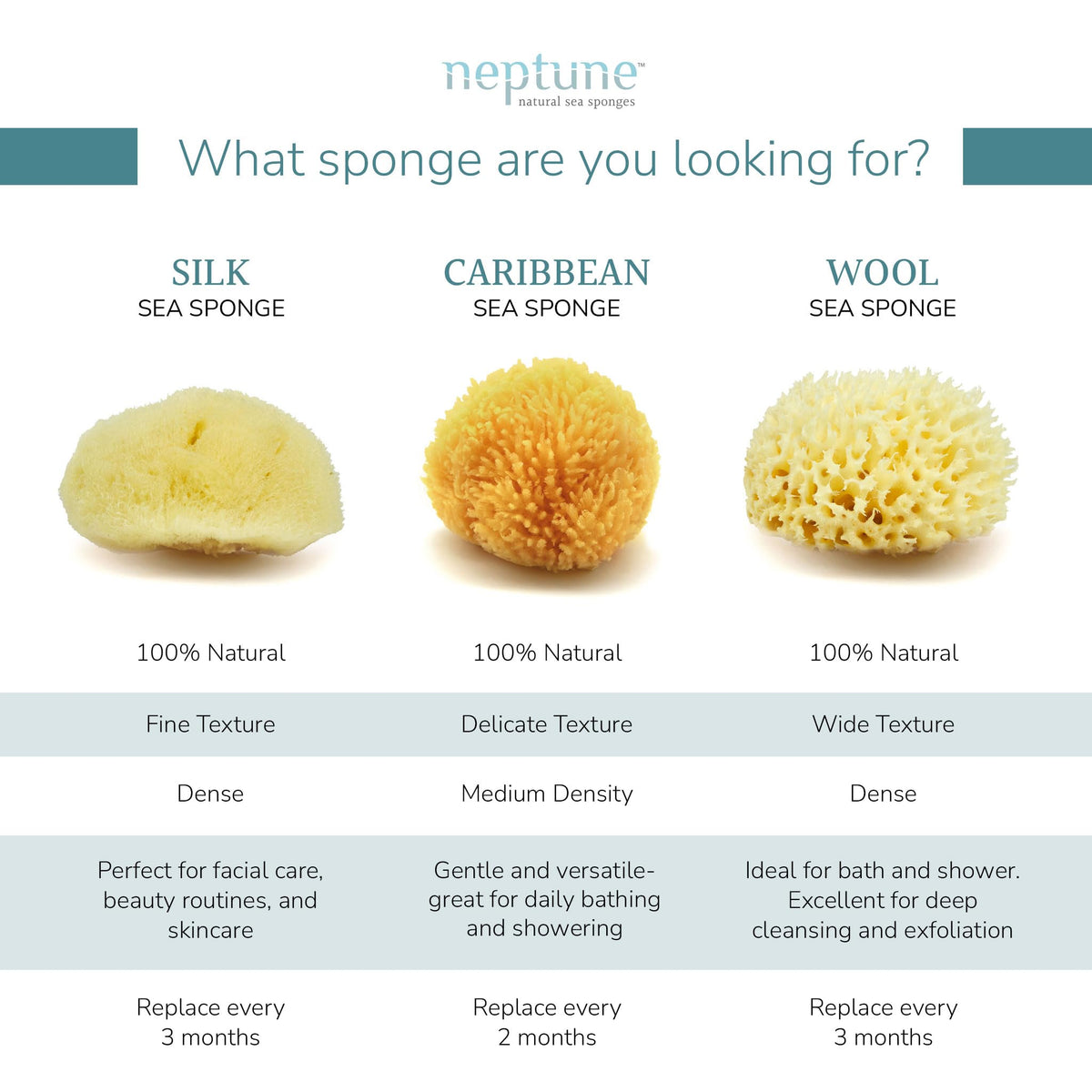 Neptune Caribbean Sea Sponge 2 Pack natural and biodegradable bath tool for eco-friendly skincare