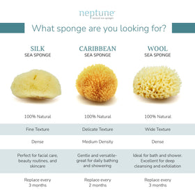 Neptune Caribbean Sea Sponge 2 Pack natural and biodegradable bath tool for eco-friendly skincare