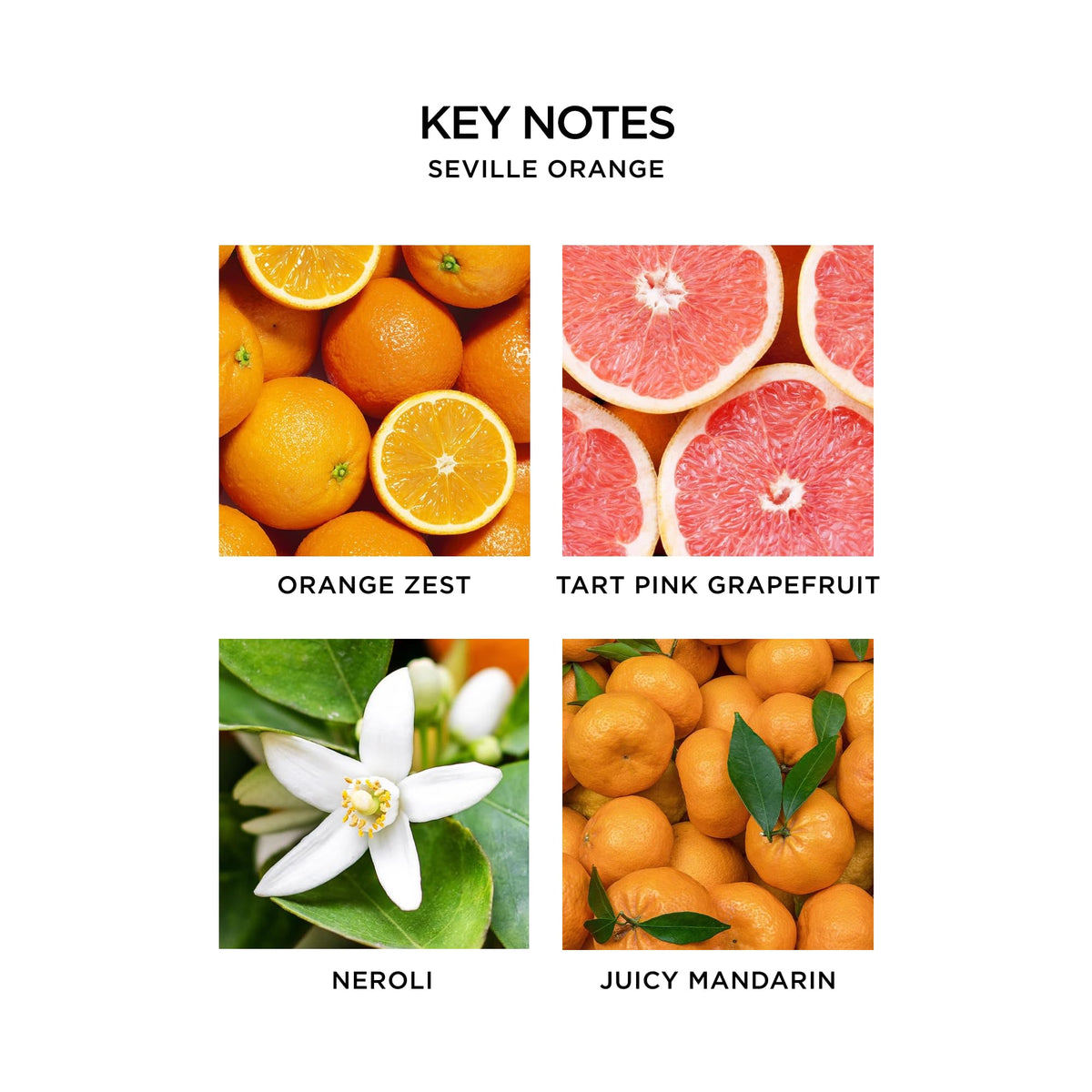 Nest New York Indian Jasmine perfume oil with silky glide and skin-friendly formula