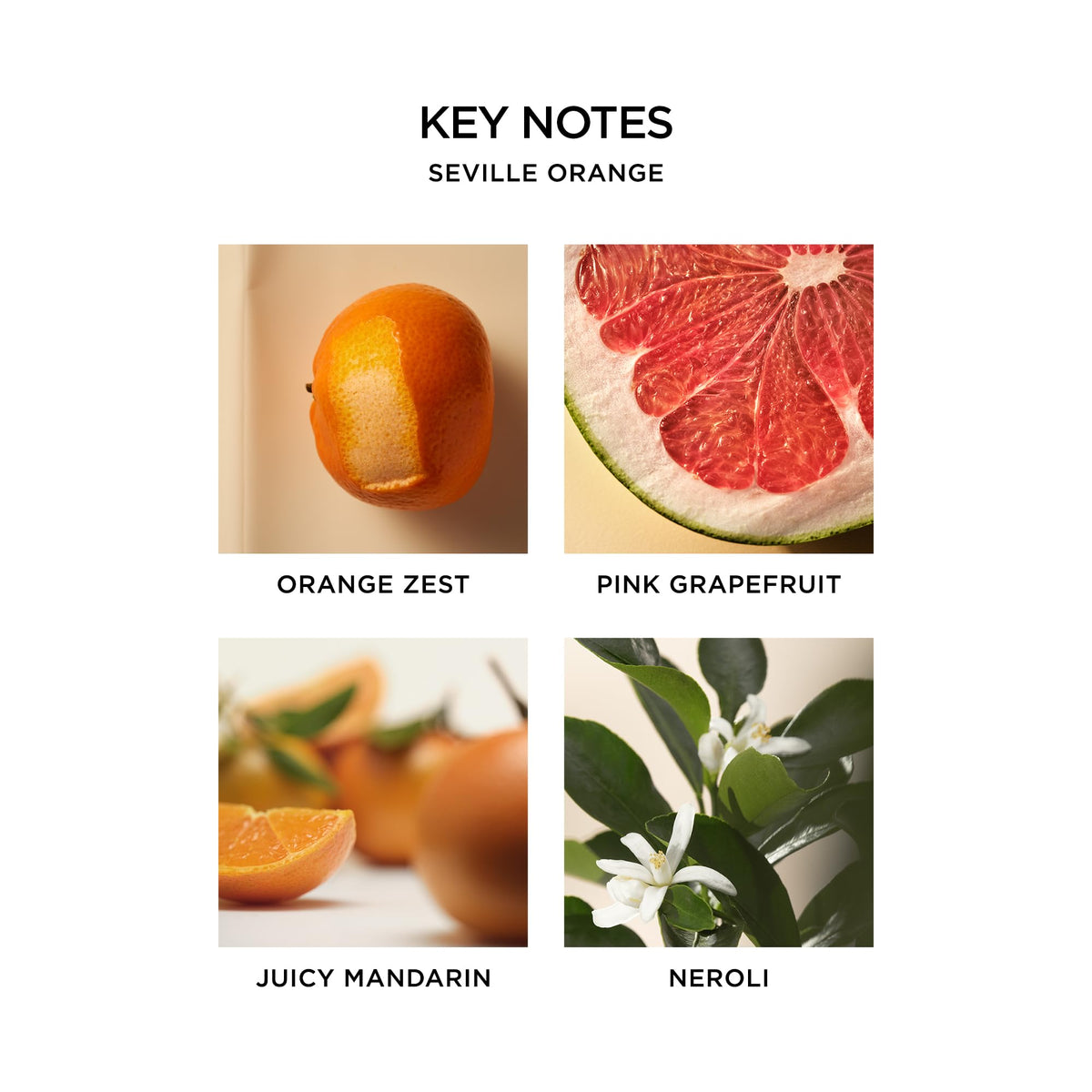 NEST New York Seville Orange perfume oil vial close-up highlights vegan formula.