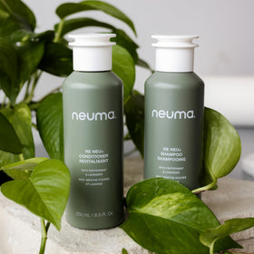 Daily-use routine shot featuring Neuma Re Neu conditioner on hair
