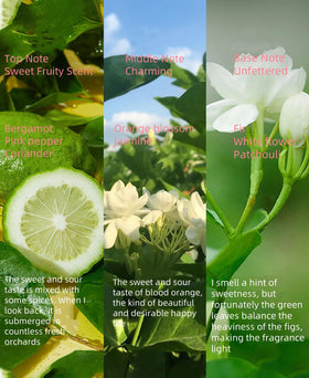 New Cover Floral & Woodsy juice-application swatch hints mood-boosting citrus-fig notes.
