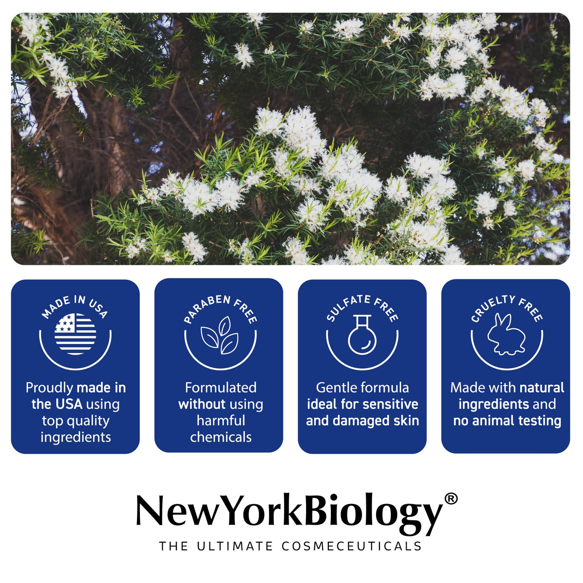 New York Biology Tea Tree Mint Body Wash feet care for refreshed, moisturized skin.