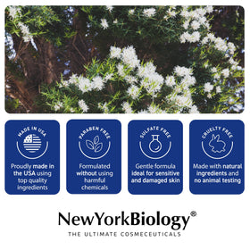 New York Biology Tea Tree Mint Body Wash feet care for refreshed, moisturized skin.