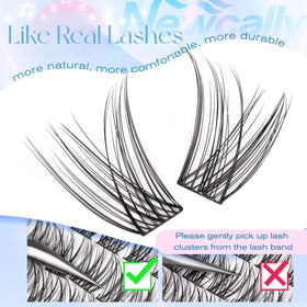 Newcally at-home DIY lashes setup for quick, salon-like results.