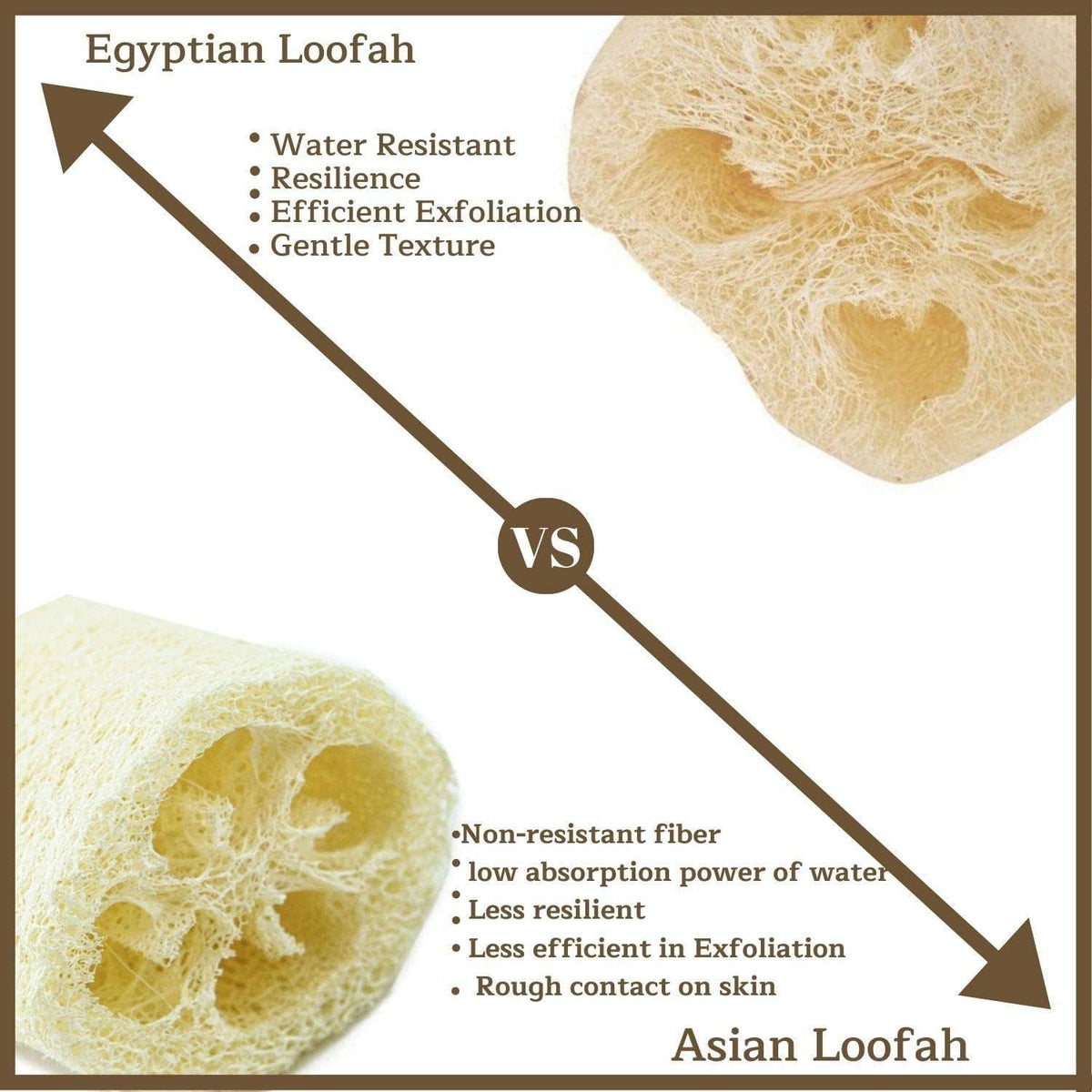 NileCart Egyptian loofah natural fibers highlight eco-friendly exfoliation.