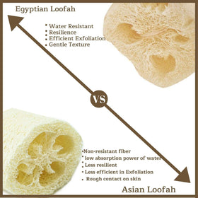 NileCart Egyptian loofah natural fibers highlight eco-friendly exfoliation.