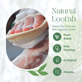NileCart loofah with soap demonstrates compatibility with body wash.