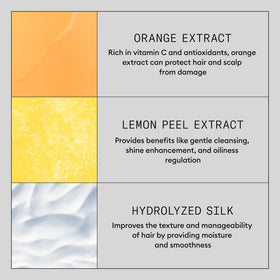 Step-by-step application visual for Nioxin Density Defend Mask