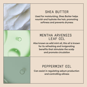NIOXIN Purifying Exfoliator ingredients panel features pyrithione zinc and green tea