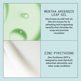 Ingredients panel image featuring Pyrithione Zinc and Green Tea extracts.