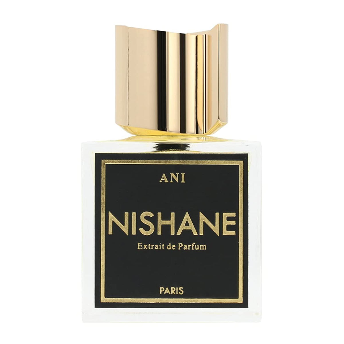Nishane Ani Extract Perfume bottle front view for versatile unisex wear