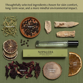 Nopalera Bosque Mistico packaging box front view emphasizes premium presentation