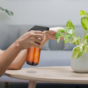 Norme multi-use spray bottles suit essential oils, cleaners, and skincare.