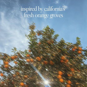 Mandarin-note close-up suggests bright, daytime-friendly citrus opening