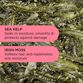 Noughty Hey Curl sea kelp and Irish moss ingredients.