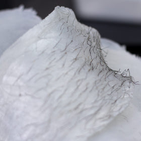 Nova Wax full-body waxing at home with salon-like results
