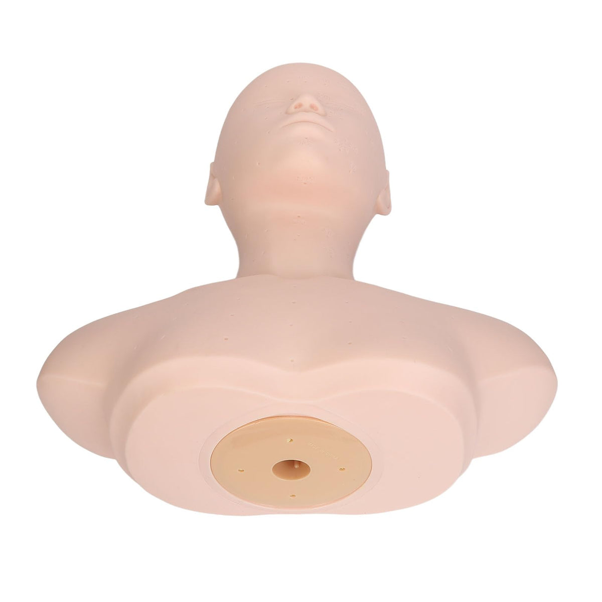 NSXAYIWE esthetics head offers realistic touch for professional demonstrations.