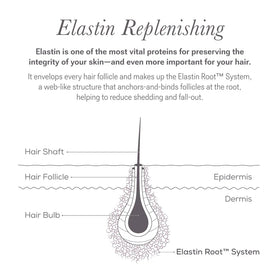 NULASTIN Lightweight, fast-absorbing texture shown on the scalp.