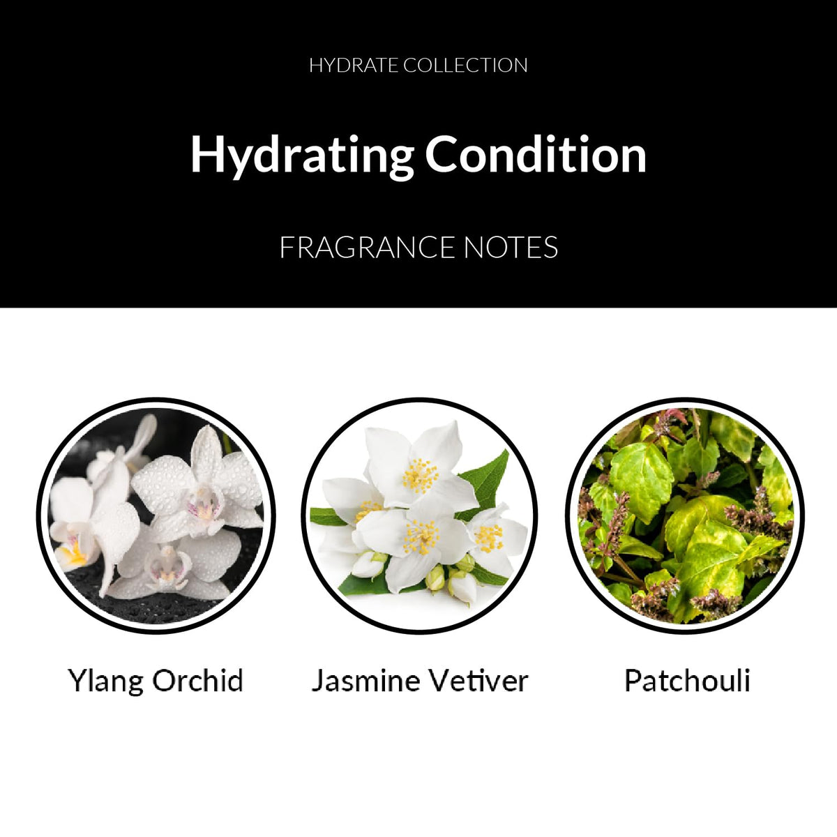 Number 4 Hydrating Conditioner daily-use scene in shower for nourishing hydration.