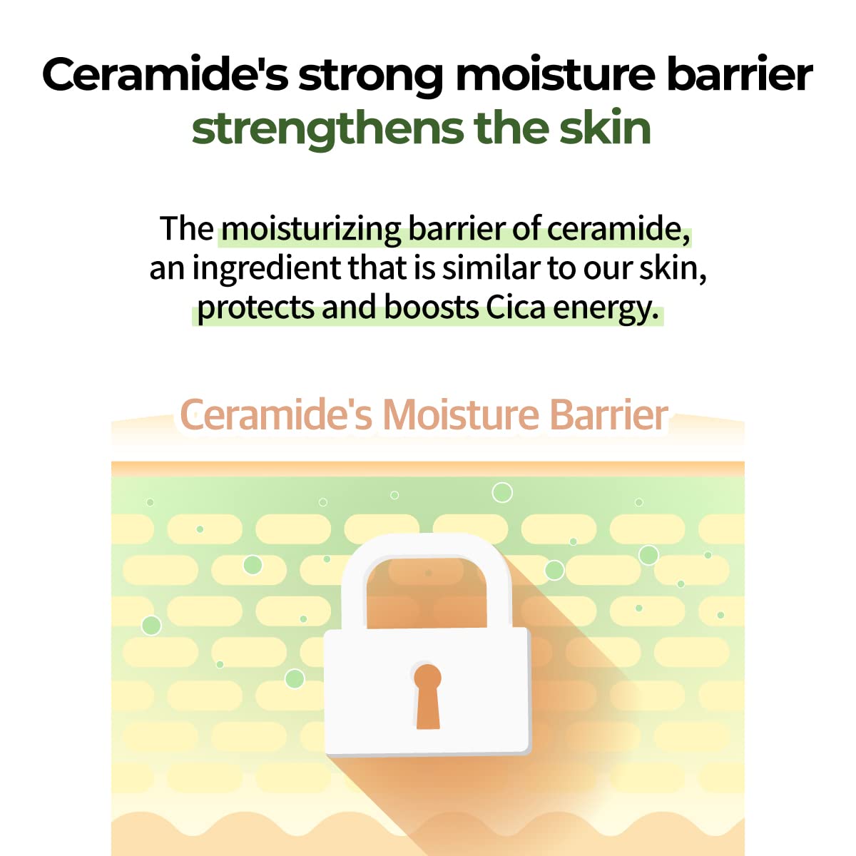 Barrier illustration with Numbuzin No.2 Cream suggesting skin support