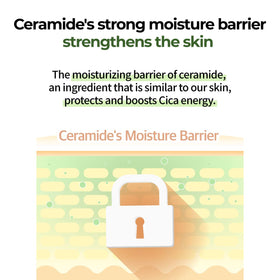 Barrier illustration with Numbuzin No.2 Cream suggesting skin support