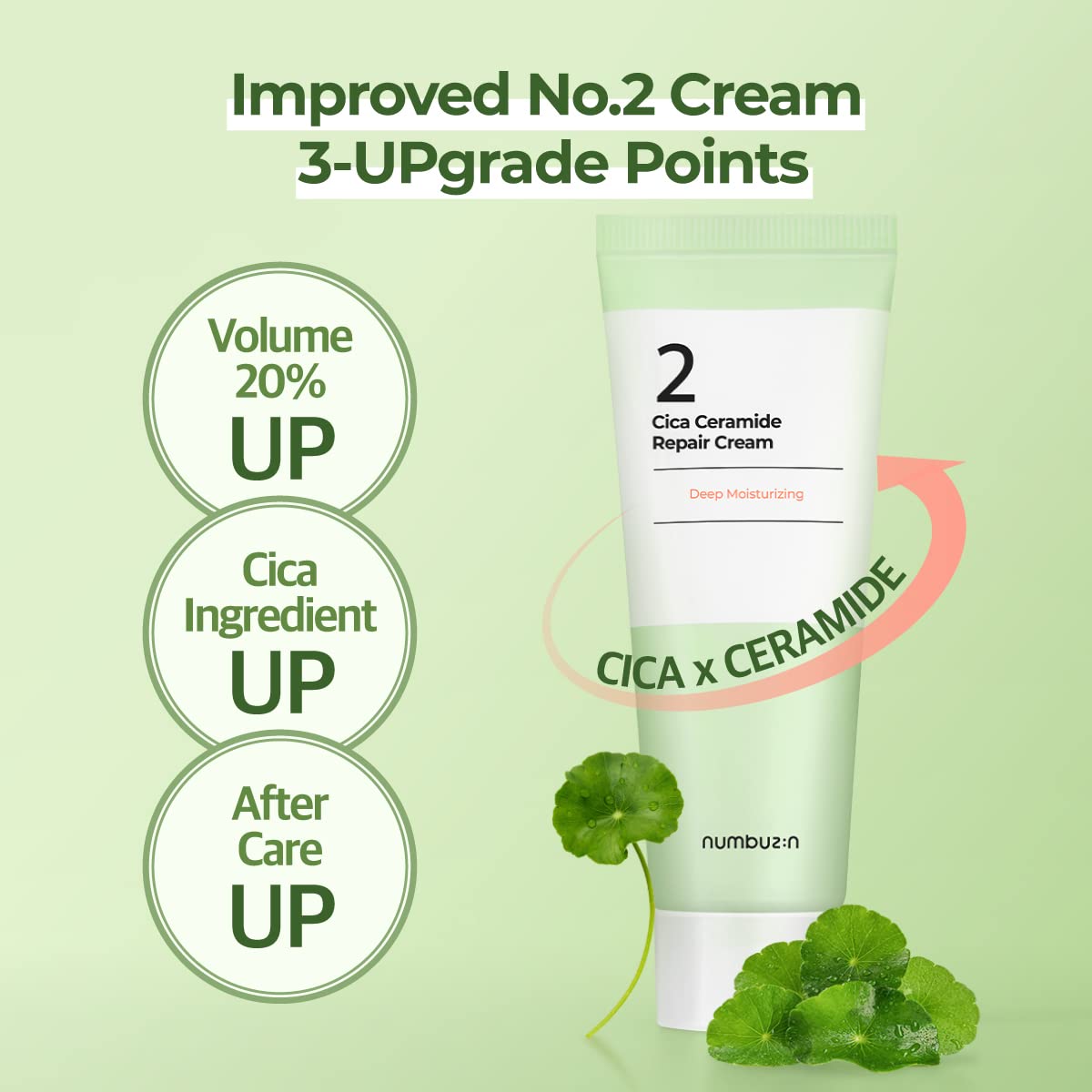 Centella asiatica ingredient spotlight in Numbuzin No.2 Cream for soothing care