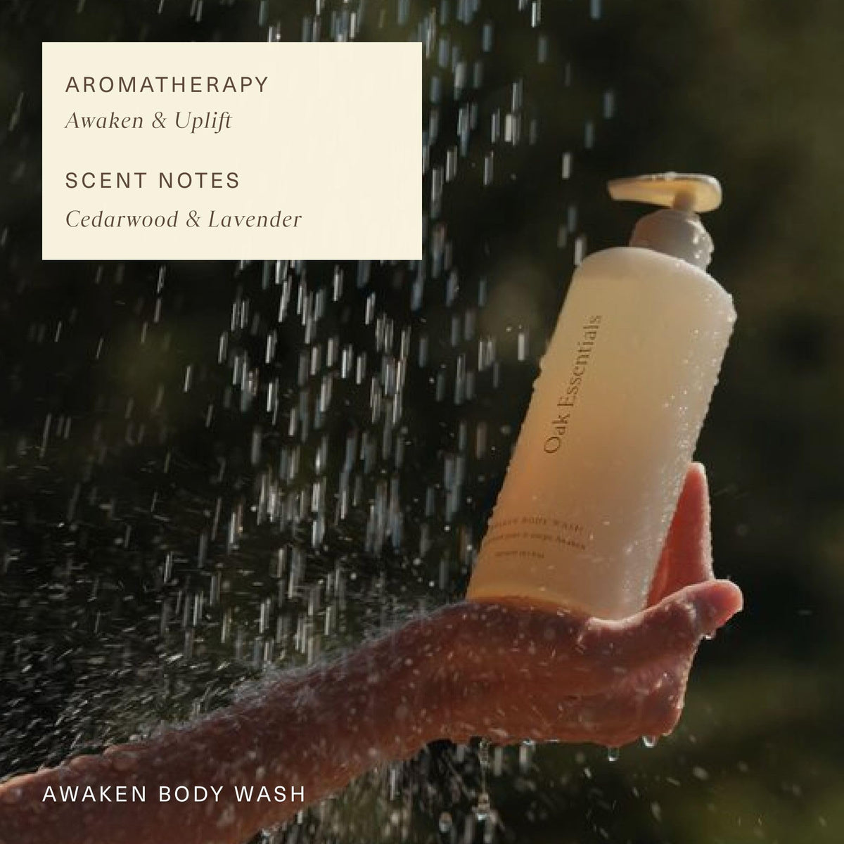 Rice bran extract in Oak Essentials Awaken Body Wash suggesting conditioning properties.