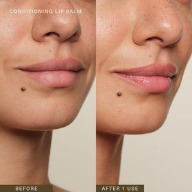 Oak Essentials Conditioning Lip Balm scent hints of bergamot and tea tree