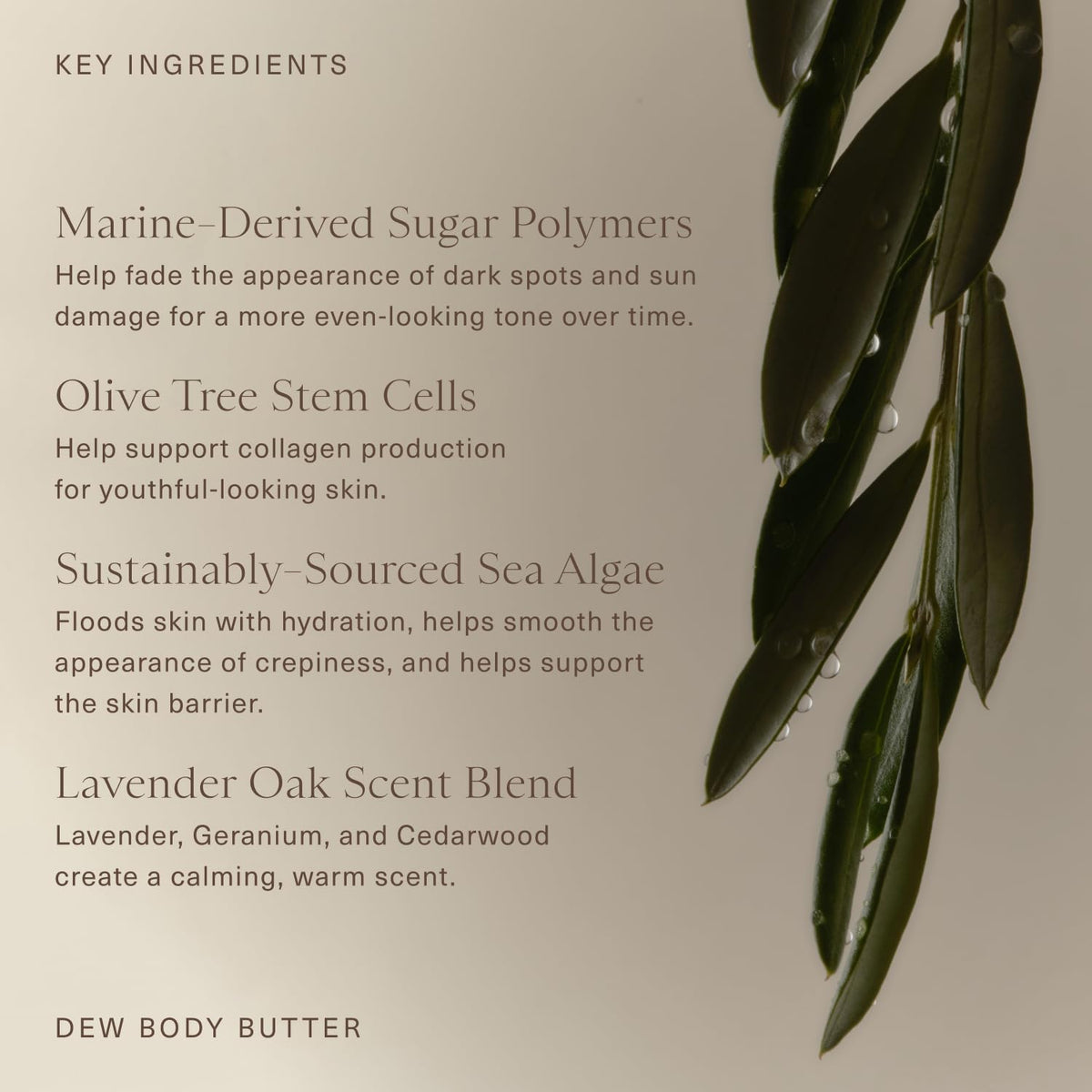 Oak Essentials Dew Body Butter lavender oak scent conveys calming aroma.