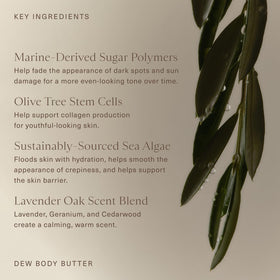 Oak Essentials Dew Body Butter lavender oak scent conveys calming aroma.