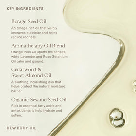 Oak Essentials Dew Body Oil ingredient chart highlights omega-rich oils.