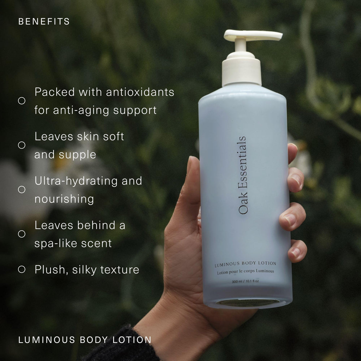 Blue Tansy oil component in Oak Essentials Luminous Body Lotion for calming notes