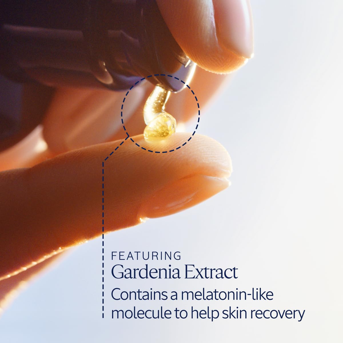 Texture close-up of L'Occitane Immortelle oil-in-serum for a silky finish