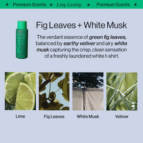 OffCourt prebiotics-odor-control: balances odor over time for lasting freshness.