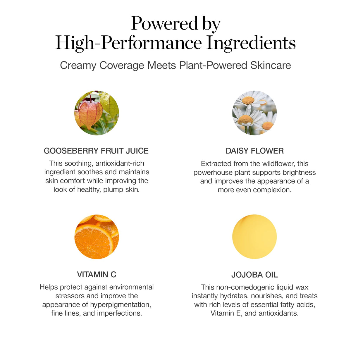 Ogee Complexion Perfecting Foundation jojoba oil bottle closeup emphasizes non-greasy hydration.