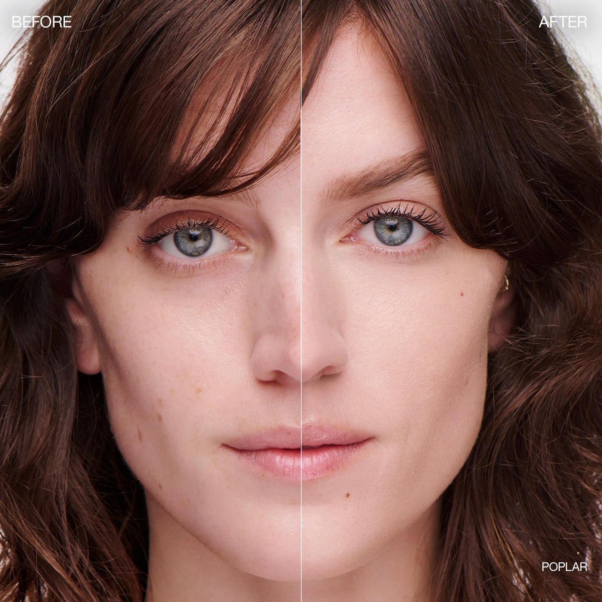 Ogee Daisy Flower illuminating component for an even-toned glow