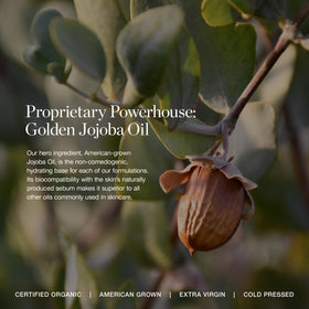 Ogee Gooseberry Juice serum visual highlight