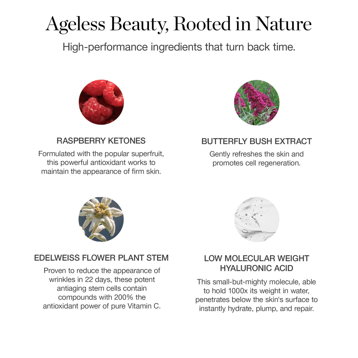 Ogee Seeds of Youth Serum being applied for a fresh skincare ritual