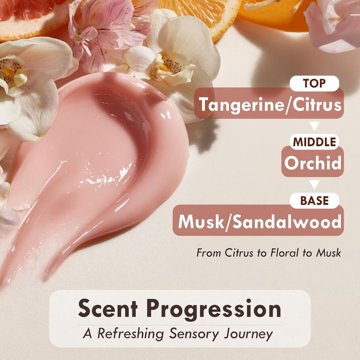 Ingredient graphic highlights peptides and hyaluronic acid in OHMIA