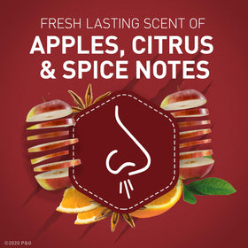 Old Spice Bearglove scent label close-up with crisp apple notes.