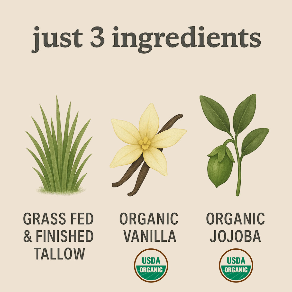 Old Time Tallow amber glass packaging preserves nutrients and quality.