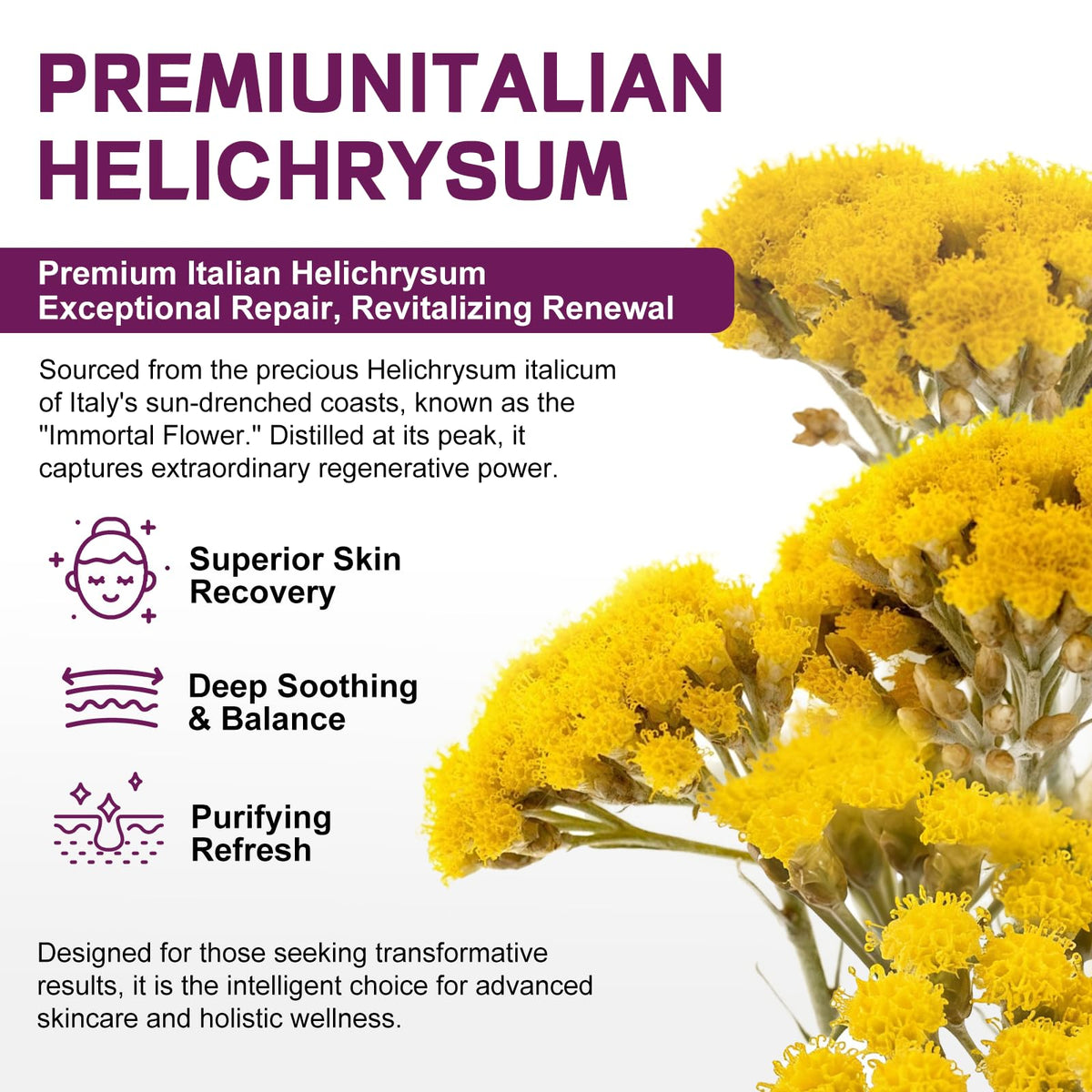 OLELON Helichrysum Balm on face and body demonstrating versatile care.