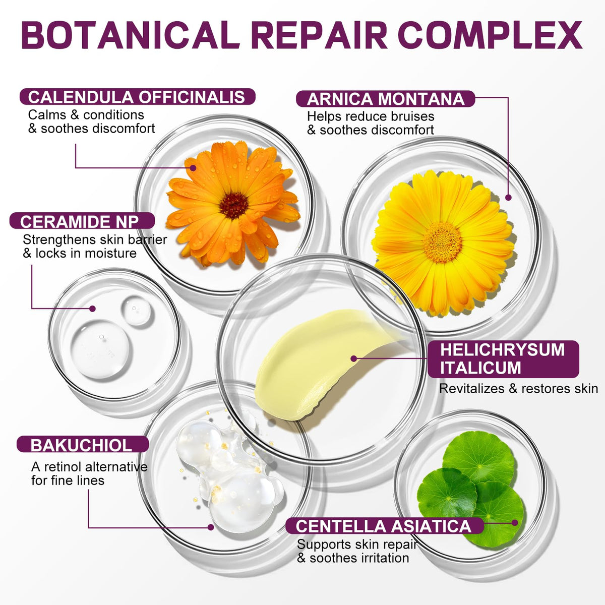 OLELON Helichrysum Balm ingredients visual highlighting botanicals blend.
