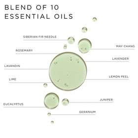 Close up of OLVERUM natural plant extracts for gentle skin nourishment.