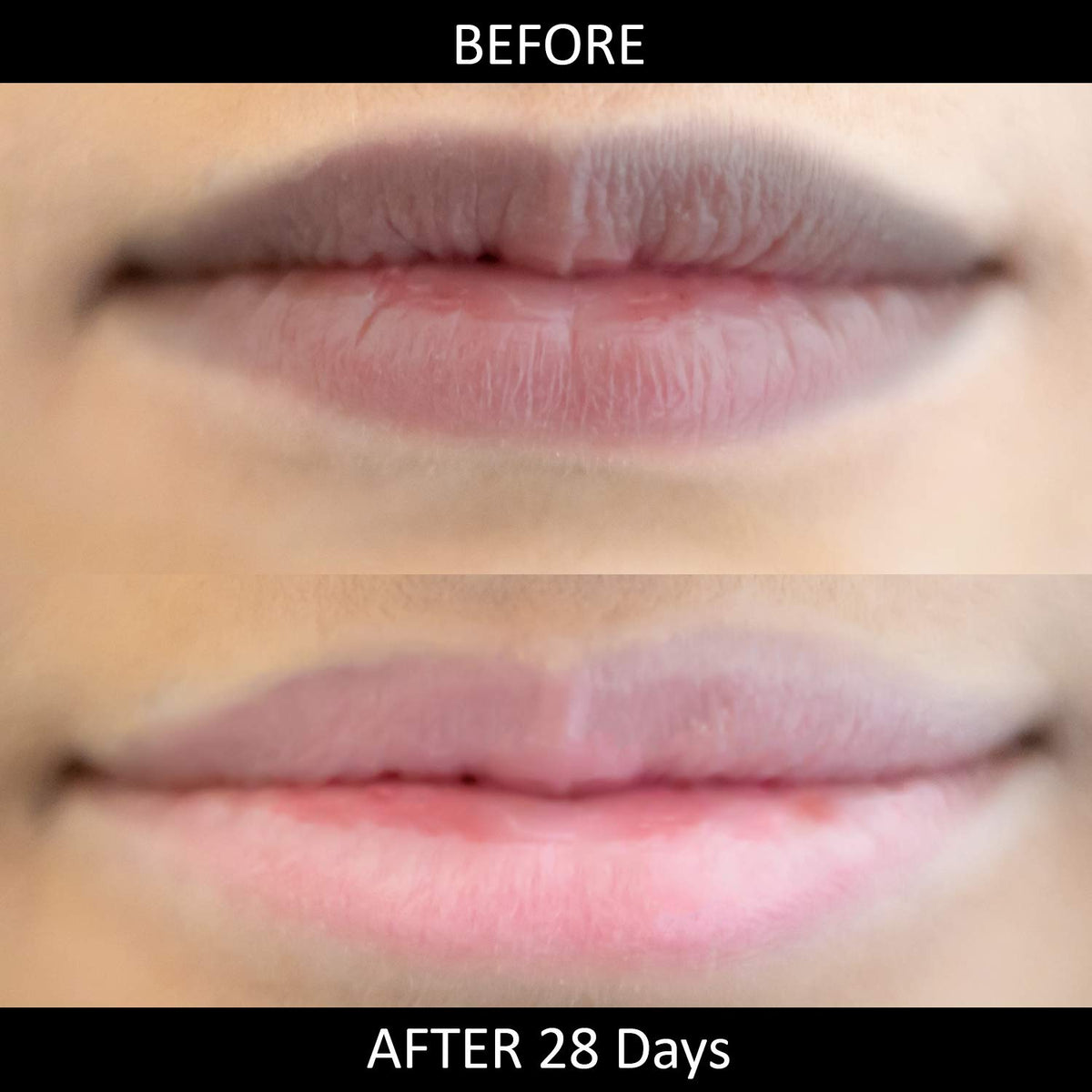 Cocoa butter-rich texture of Omorfee lip balm, hydrating dry lips.