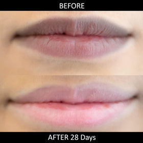 Cocoa butter-rich texture of Omorfee lip balm, hydrating dry lips.