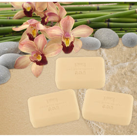 One With Nature vegetable base soap highlights natural, gentle cleansing.